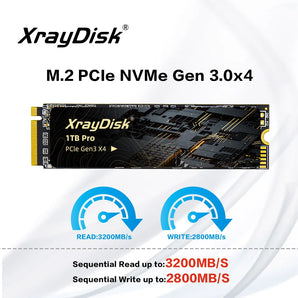 Xraydisk M2 NVMe SSD: Elevate Your Computing Experience  computerlum.com 256GB Russian Federation 