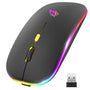 Wireless Mouse Dual Modes Rechargeable RGB Ergonomic Silent Click  computerlum.com Default Title  