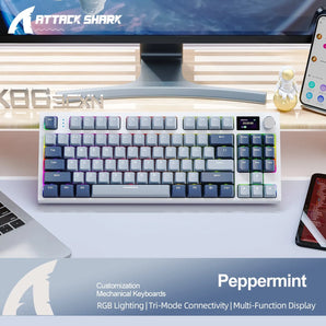 Wireless Mechanical Keyboard: Ultimate Gaming and Workstation Experience  computerlum.com   