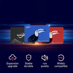 WALRAM SSD: High-Speed Storage Solution with Wide Compatibility  computerlum.com   