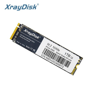 XrayDisk M2 SSD: Unleash Gaming Power with Lightning Speeds  computerlum.com PCIE-256GB Russian Federation 